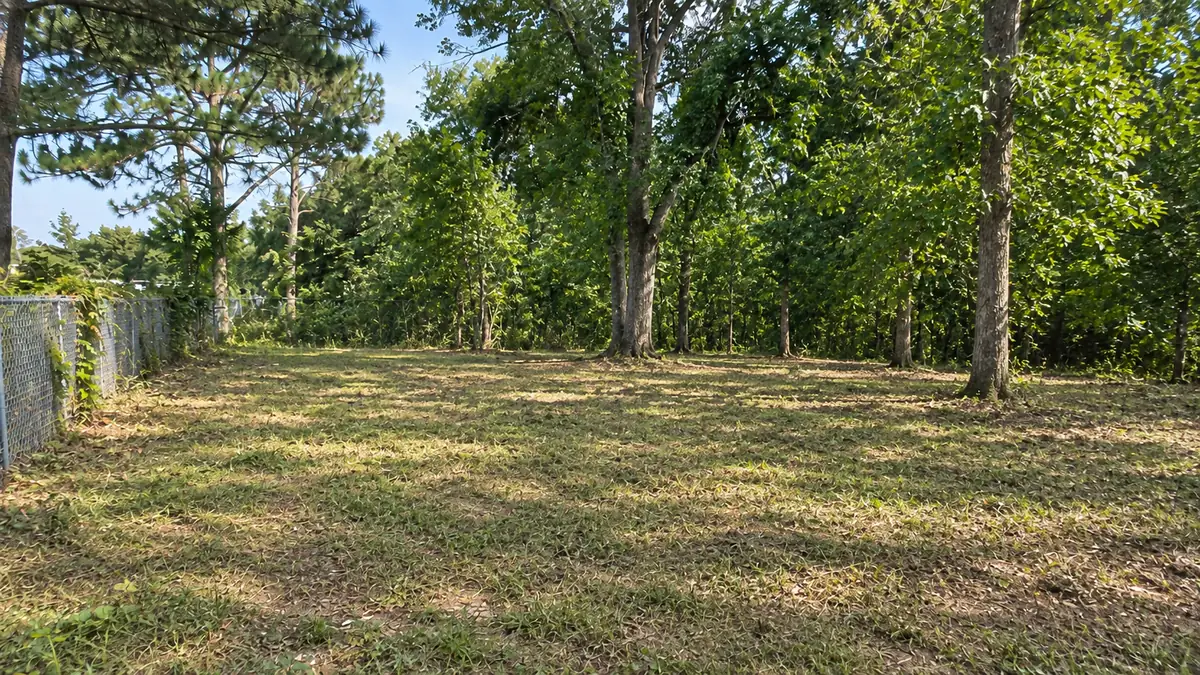 Same lot cleared to open, usable ground beneath mature trees after brush and land clearing by Dad Bod Tractor
