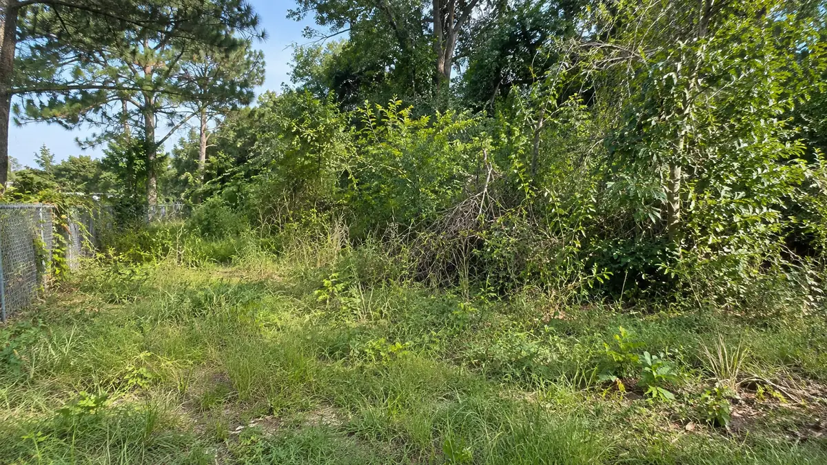 Overgrown lot covered in thick brush, vines and saplings before land clearing in the Pensacola FL area